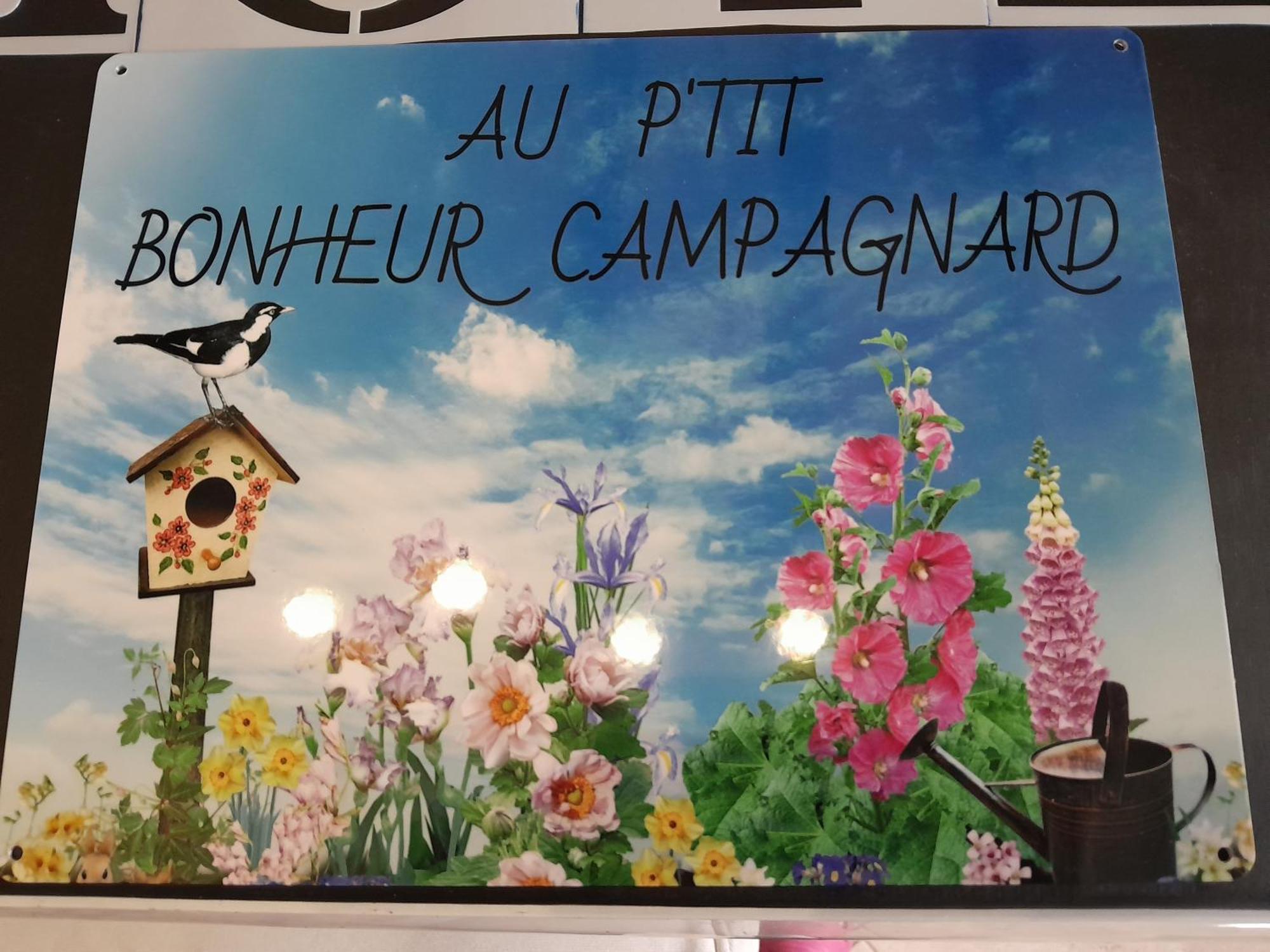 Chambres D Hotes Au P'Tit Bonheur Campagnard Jarnosse Eksteriør bilde